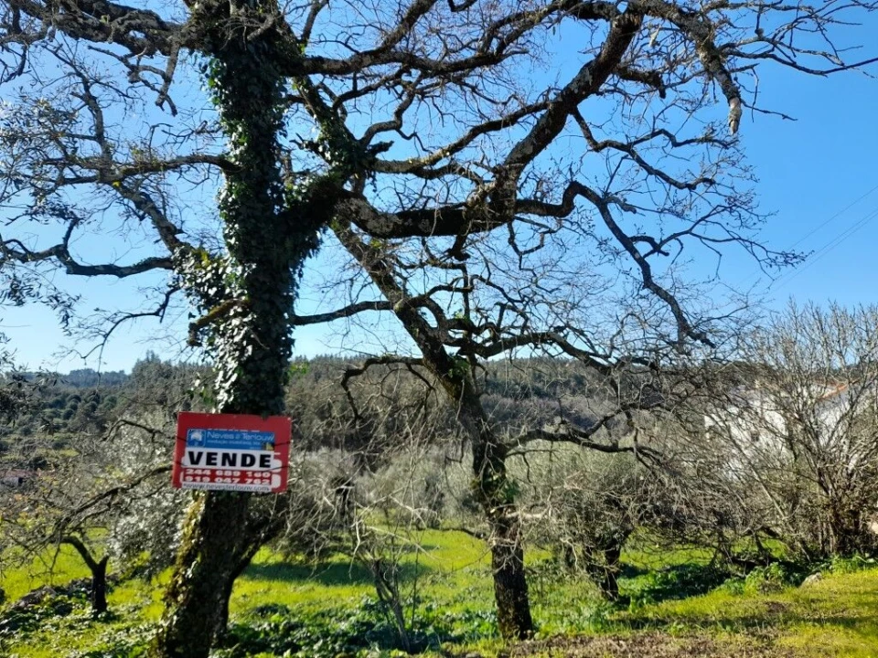 Terreno para Venda em Ansião Foto 8