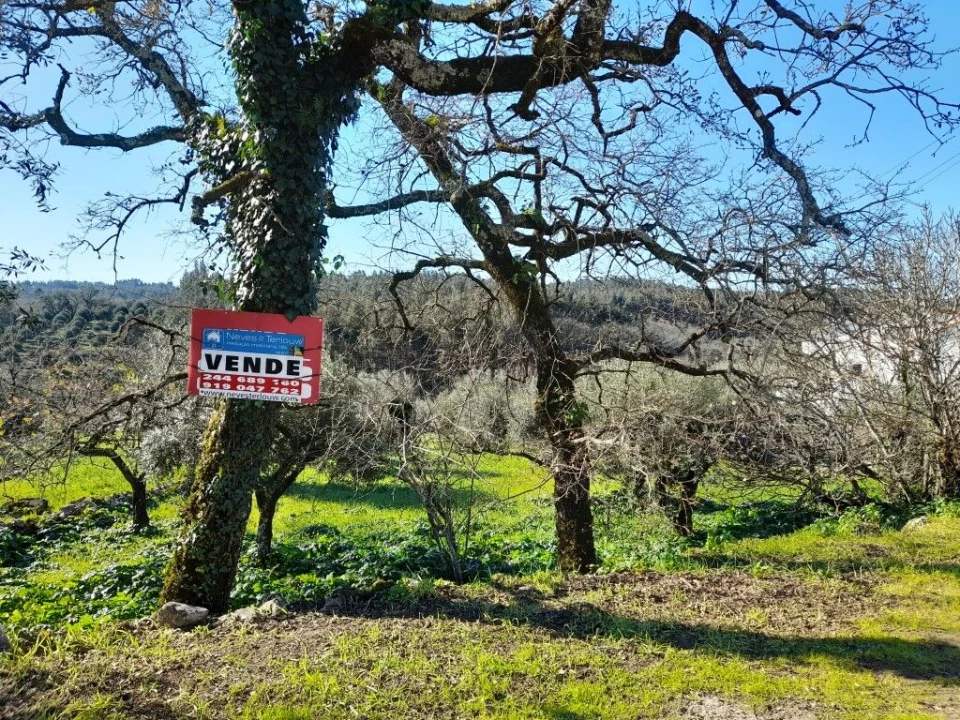 Terreno para Venda em Ansião Foto 2