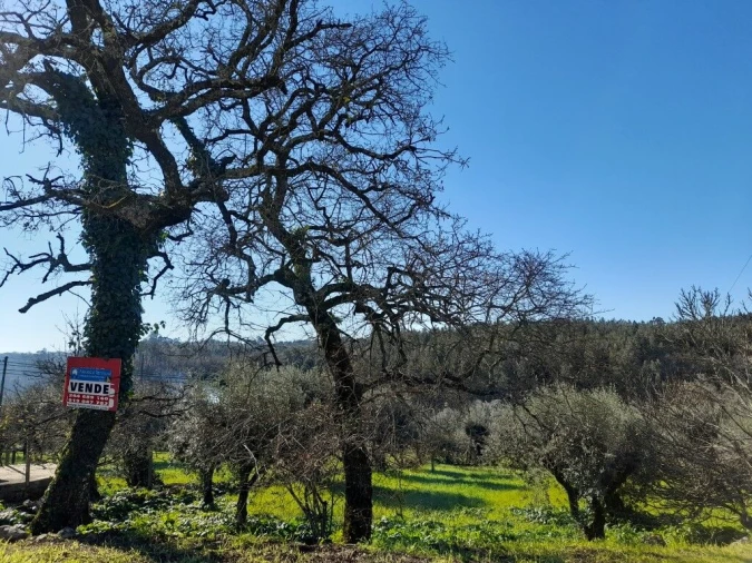 Terreno para Venda em Ansião Foto 7