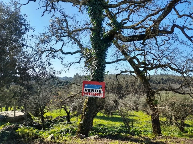 Terreno para Venda em Ansião Foto 10