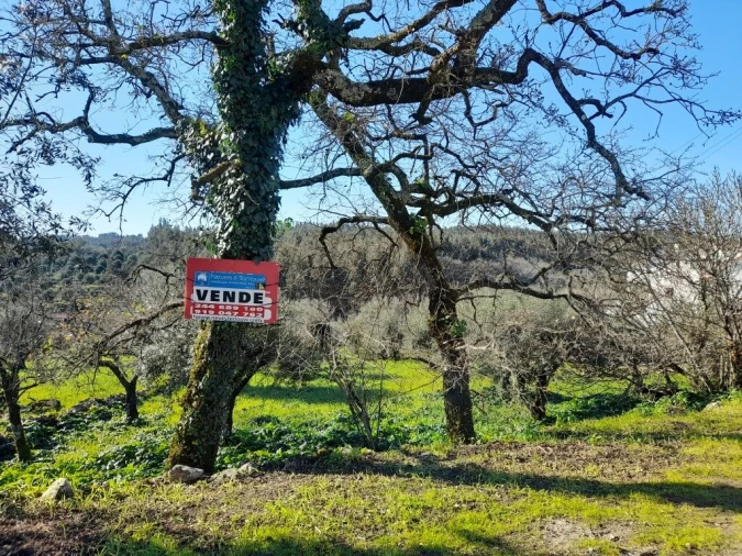 Terreno para Venda em Ansião Foto 9