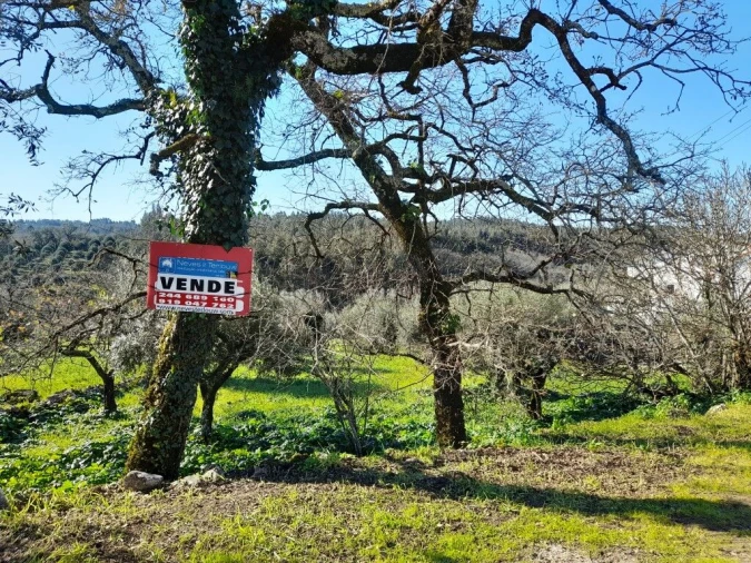 Terreno para Venda em Ansião Foto 2