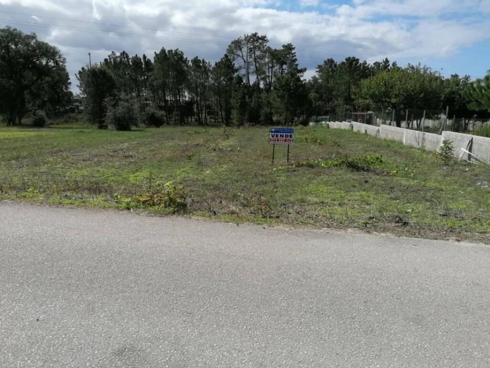Terreno para Venda em Monte Redondo e Carreira Foto 11
