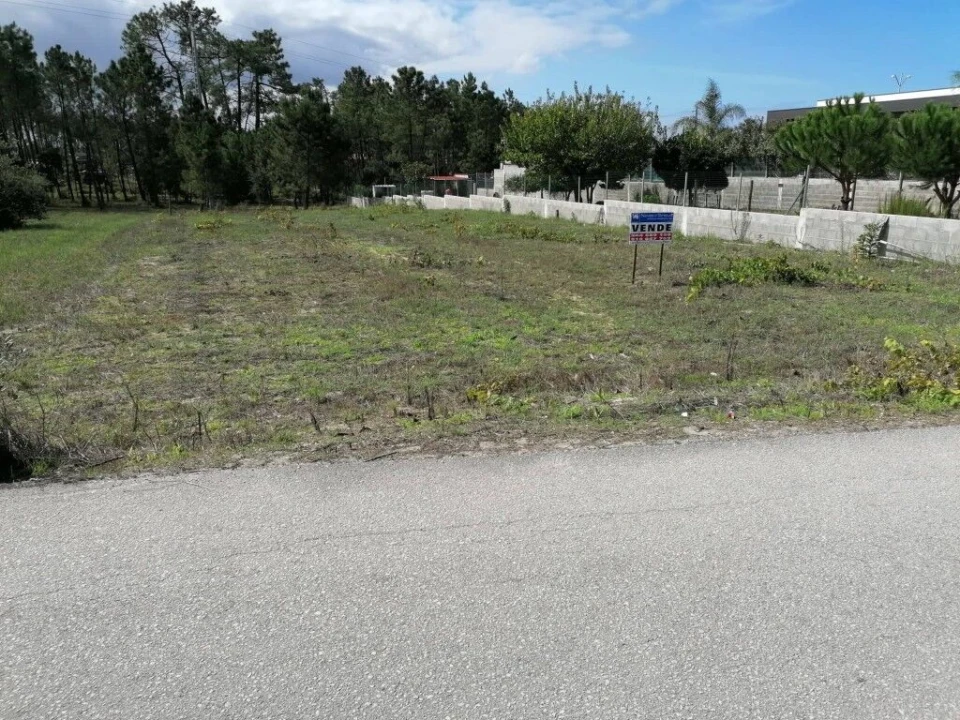 Terreno para Venda em Monte Redondo e Carreira Foto 10