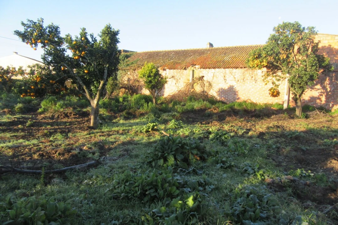 Moradia T4 para Venda em Monte Real e Carvide Foto 24