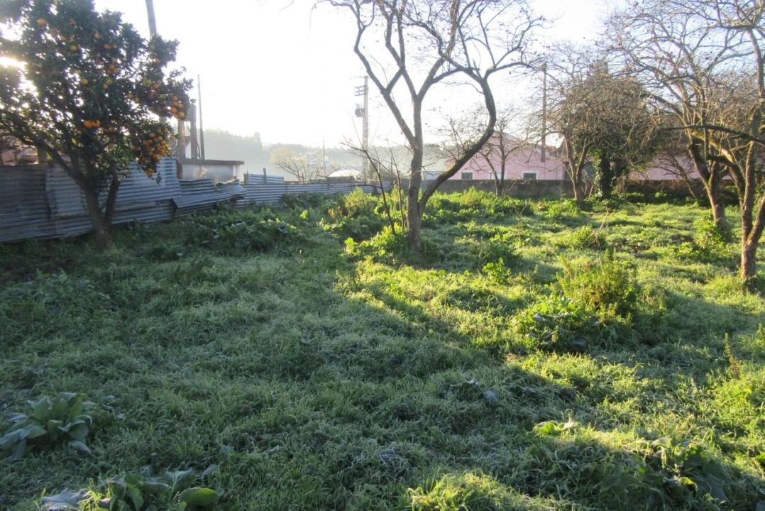 Moradia T4 para Venda em Monte Real e Carvide Foto 26