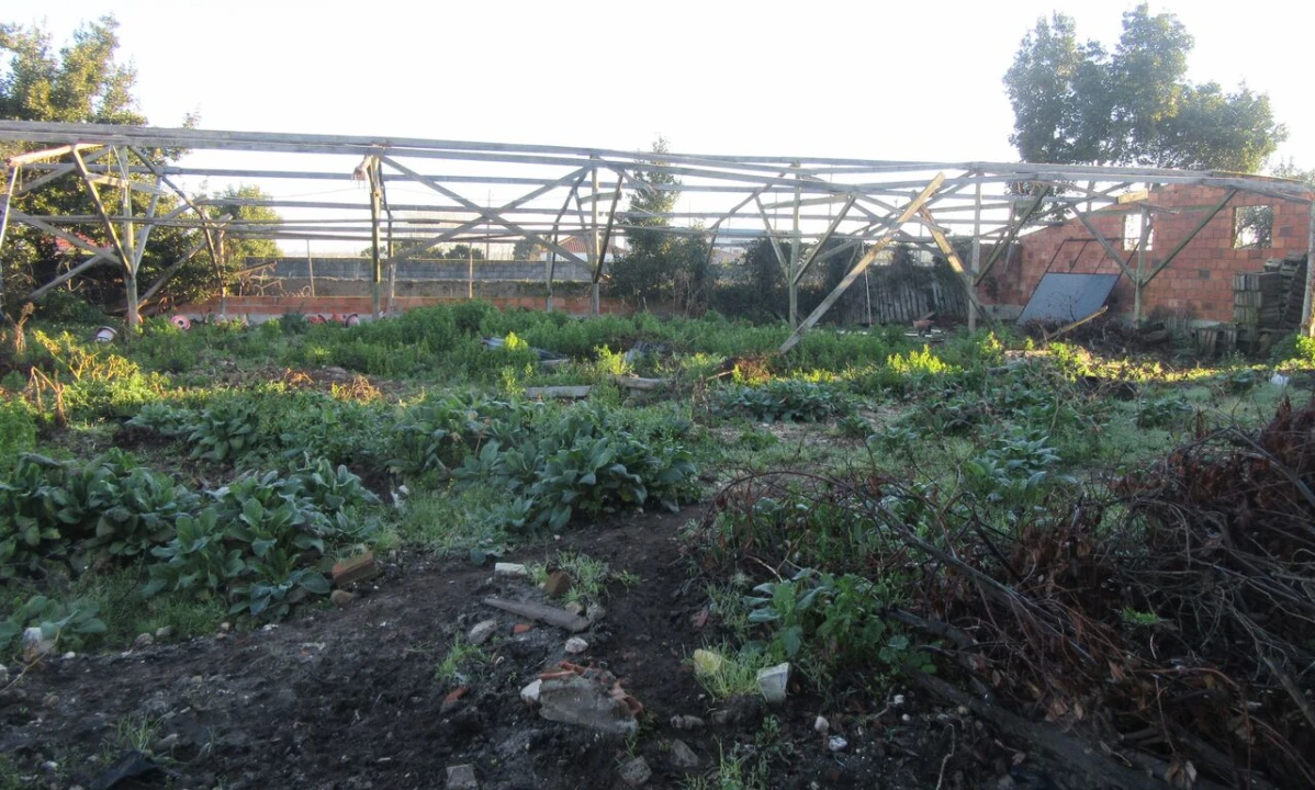 Moradia T4 para Venda em Monte Real e Carvide Foto 29