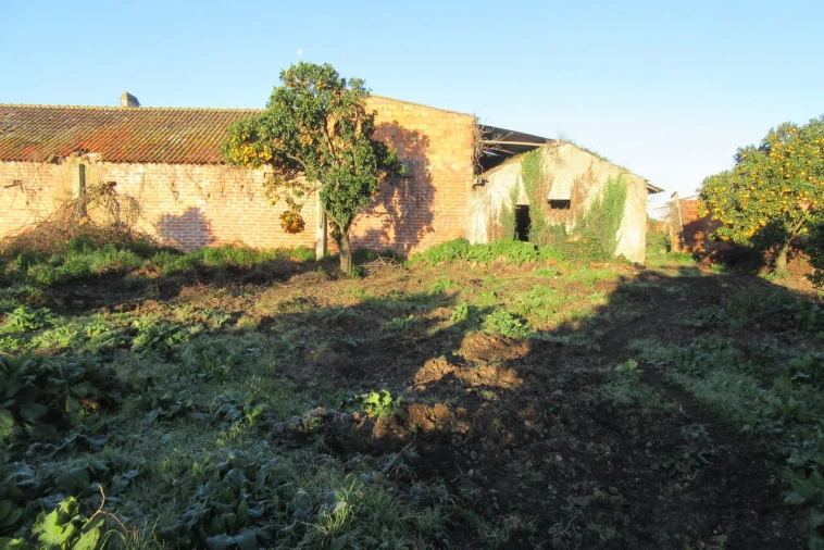 Moradia T4 para Venda em Monte Real e Carvide Foto 25