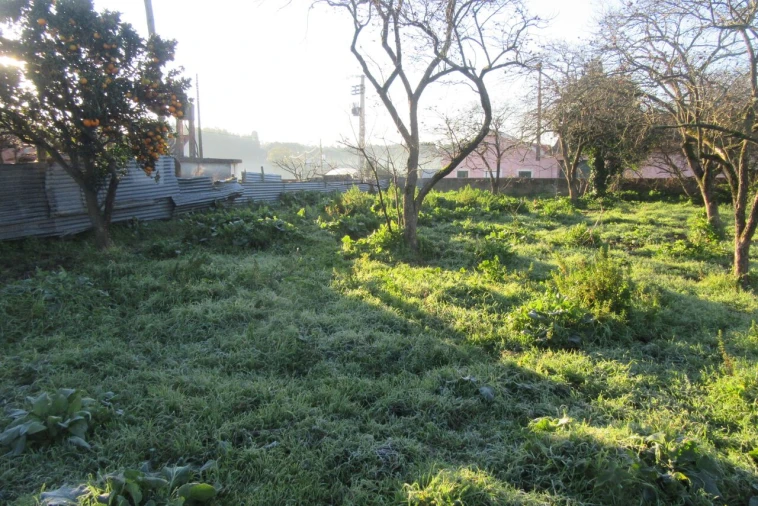 Moradia T4 para Venda em Monte Real e Carvide Foto 26