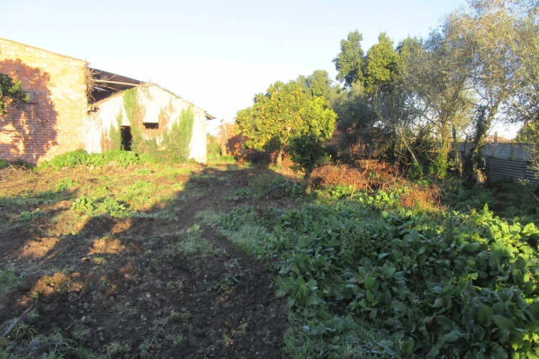 Moradia T4 para Venda em Monte Real e Carvide Foto 27