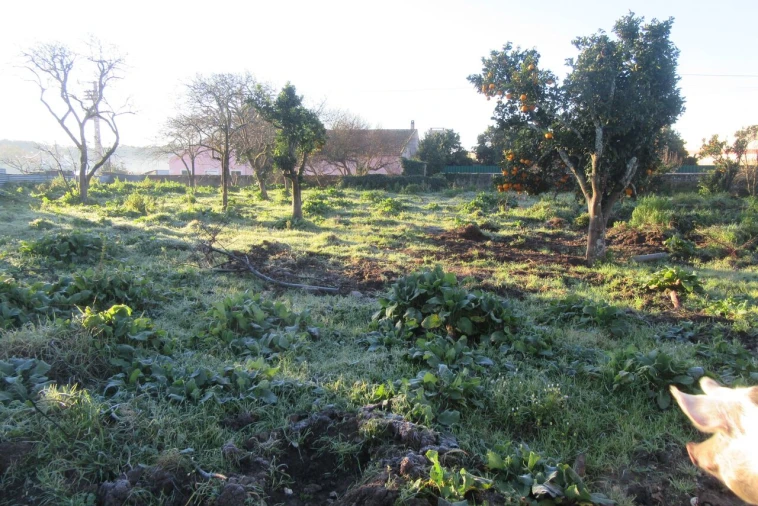 Moradia T4 para Venda em Monte Real e Carvide Foto 28