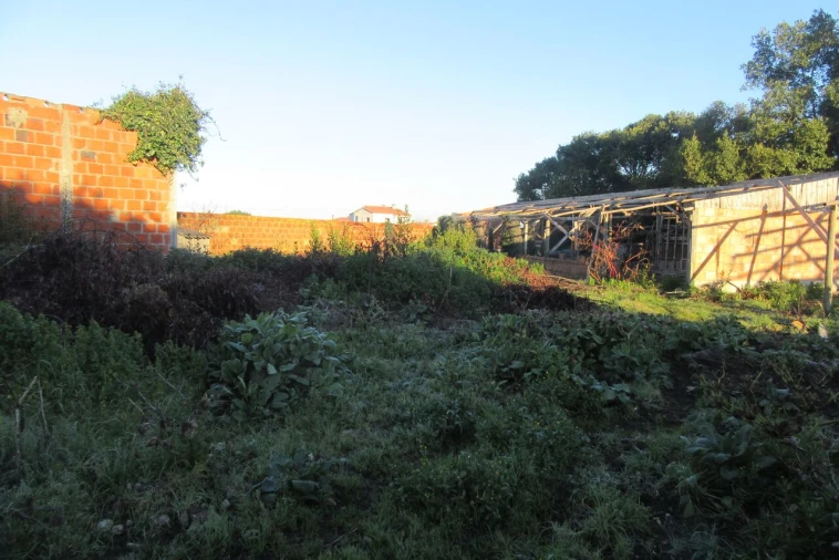 Moradia T4 para Venda em Monte Real e Carvide Foto 30