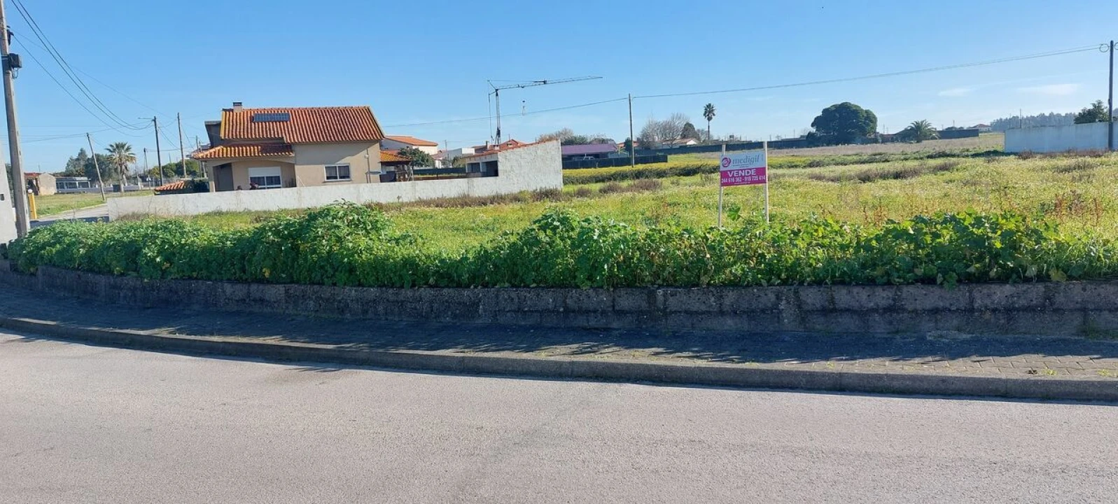 Terreno para Venda em Monte Real e Carvide Foto 1