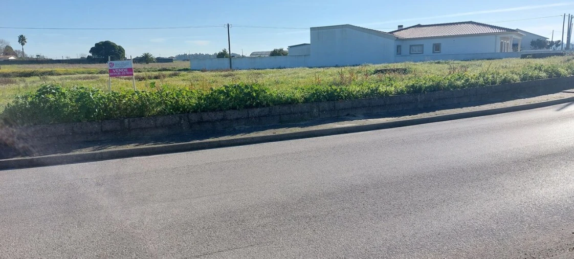 Terreno para Venda em Monte Real e Carvide Foto 3