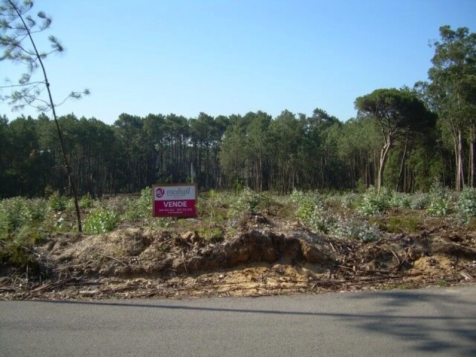 Terreno para Venda em Monte Real e Carvide Foto 1