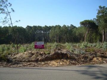 Terreno para Venda em Monte Real e Carvide
