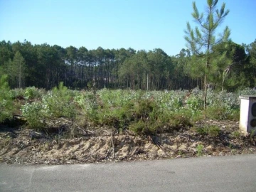 Terreno para Venda em Monte Real e Carvide