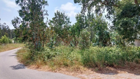 Terreno para Venda em Monte Real e Carvide