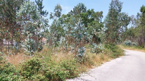 Terreno para Venda em Monte Real e Carvide