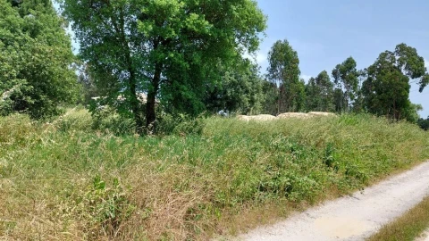 Terreno para Venda em Monte Real e Carvide