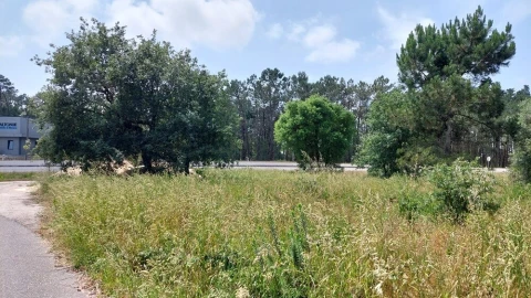 Terreno para Venda em Monte Real e Carvide