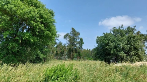 Terreno para Venda em Monte Real e Carvide