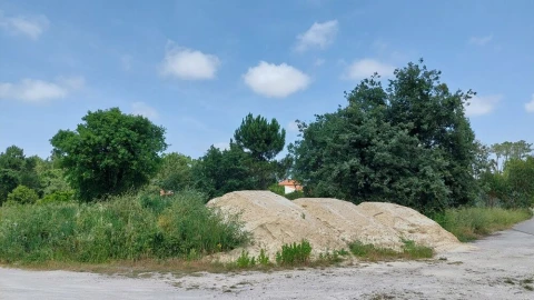 Terreno para Venda em Monte Real e Carvide
