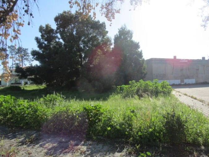 Terreno para Venda em Vieira de Leiria Foto 3