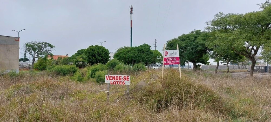 Terreno para Venda em Vieira de Leiria Foto 4