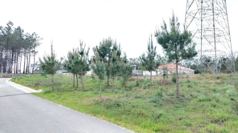 Terreno para Venda em Monte Redondo e Carreira