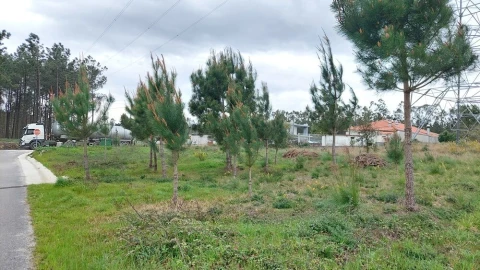 Terreno para Venda em Monte Redondo e Carreira