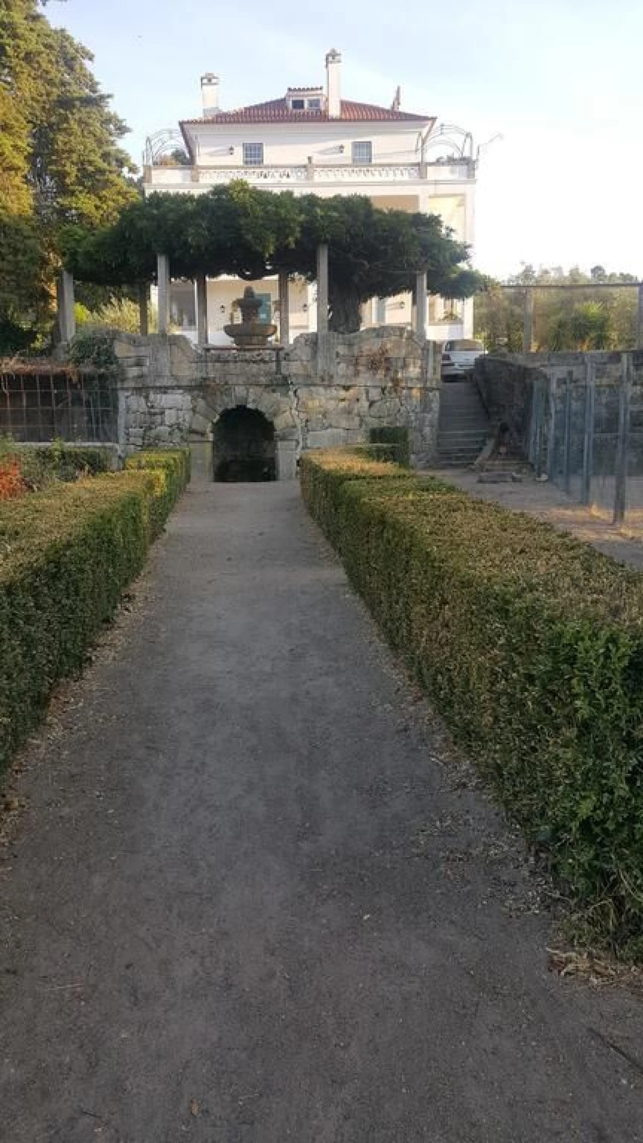 Quinta T20 para Venda em Abrunhosa-A-Velha Foto 26