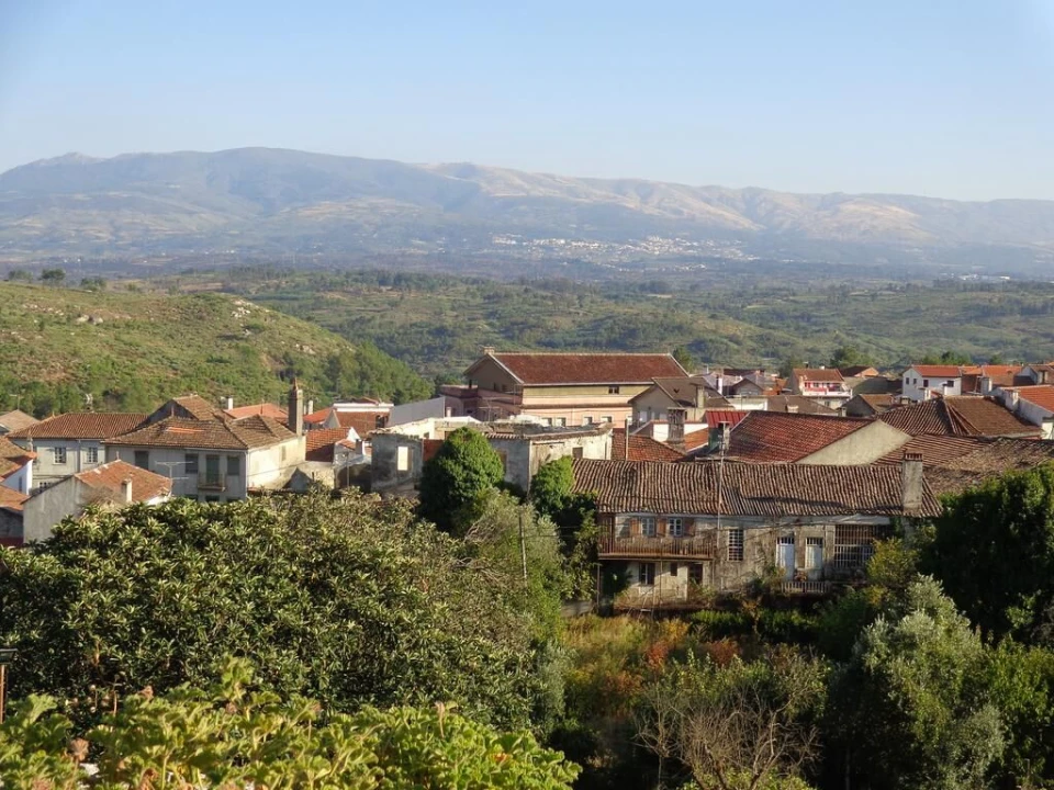 Quinta T20 para Venda em Abrunhosa-A-Velha Foto 33