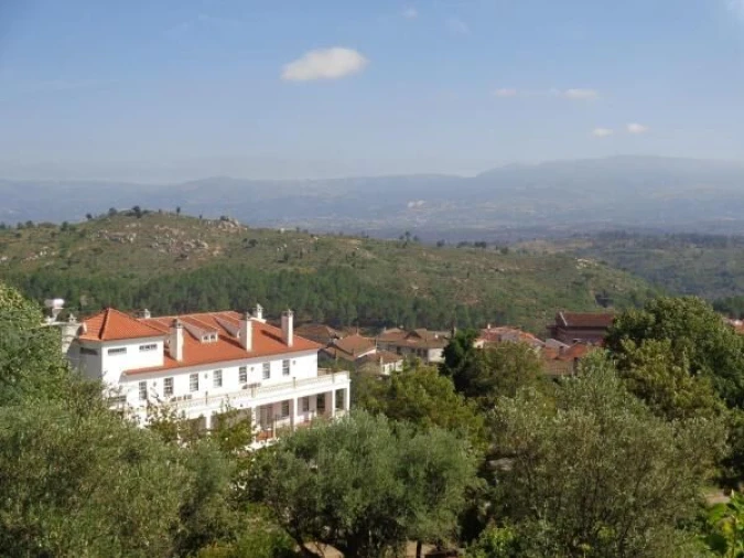 Quinta T20 para Venda em Abrunhosa-A-Velha Foto 4