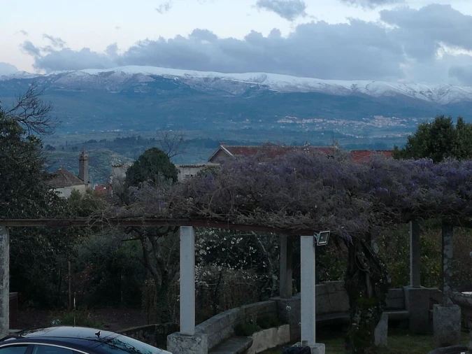 Quinta T20 para Venda em Abrunhosa-A-Velha Foto 15