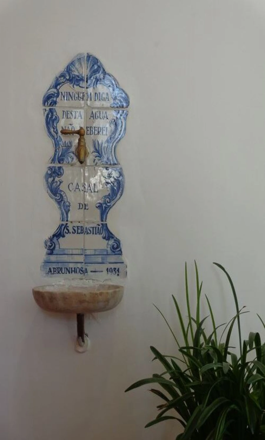 Quinta T20 para Venda em Abrunhosa-A-Velha Foto 31