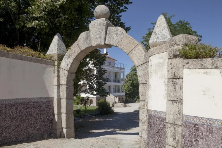 Quinta T20 para Venda em Abrunhosa-A-Velha Foto 36