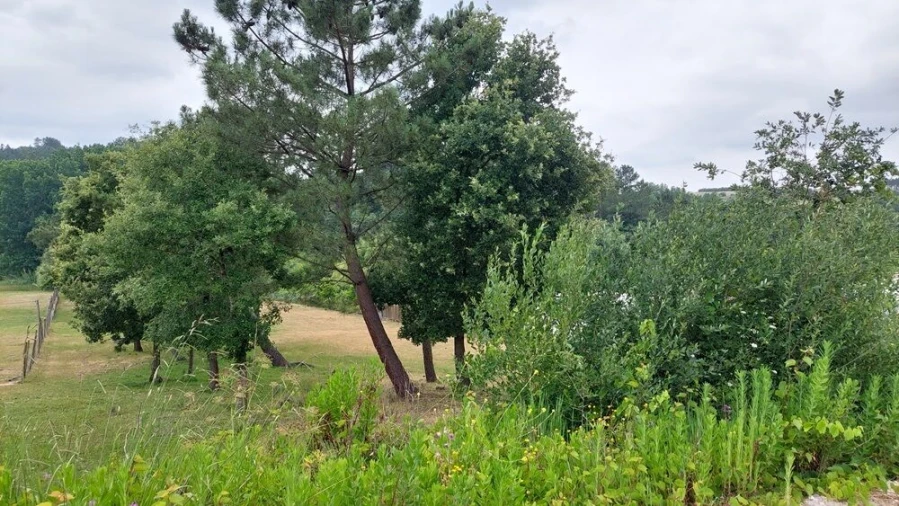 Terreno para Venda em Leiria, Pousos, Barreira e Cortes Foto 5