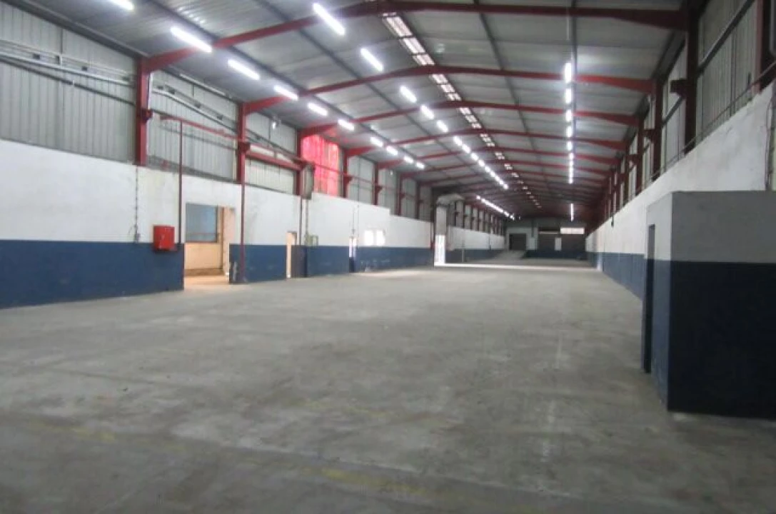 Armazém para Venda em Regueira de Pontes Foto 8