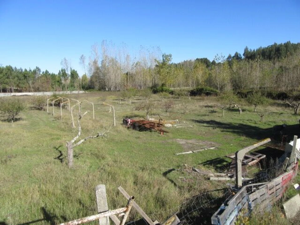 Quinta T5 para Venda em Monte Real e Carvide Foto 24