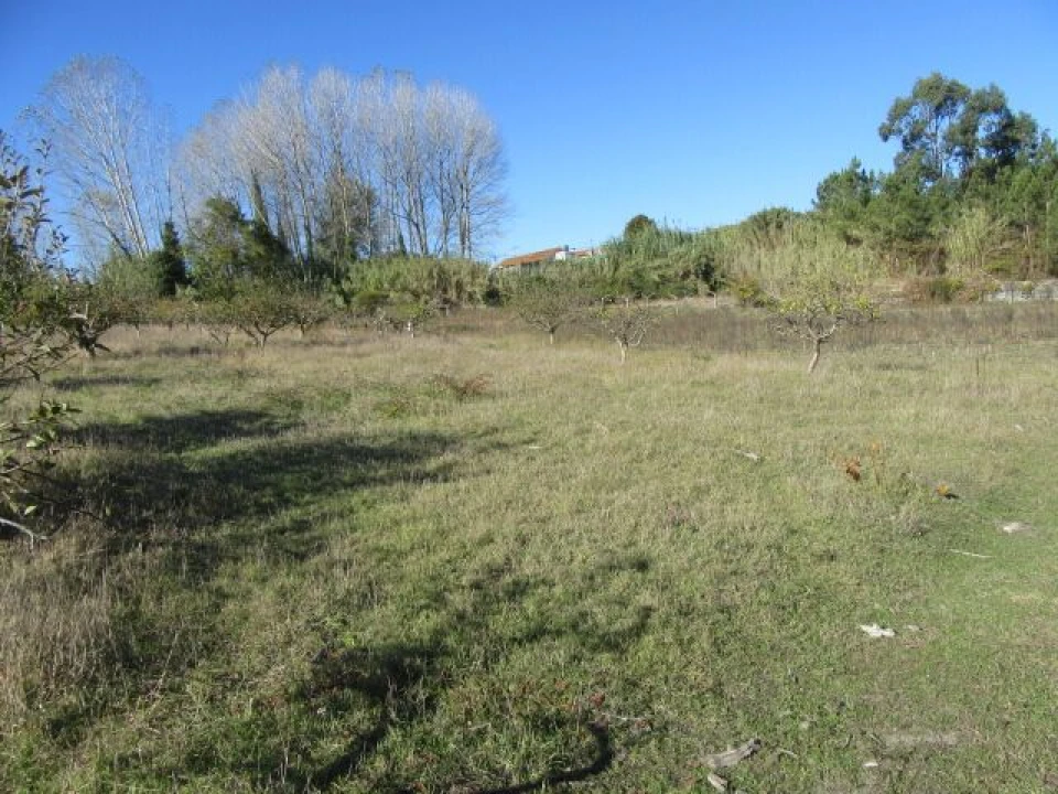 Quinta T5 para Venda em Monte Real e Carvide Foto 26