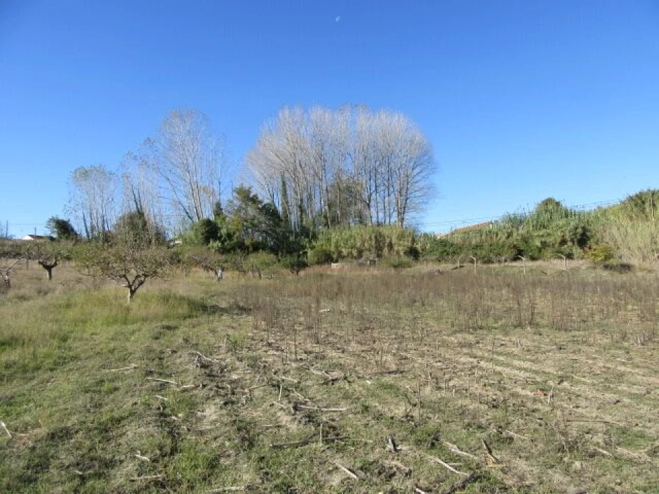 Quinta T5 para Venda em Monte Real e Carvide Foto 29