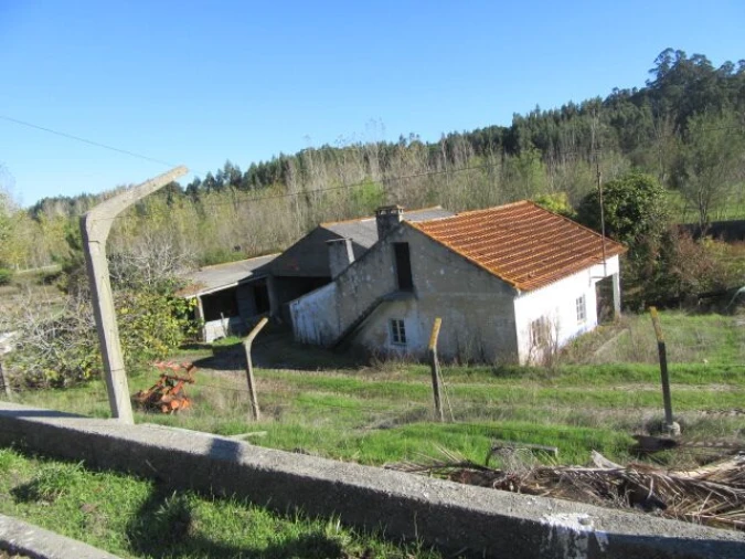 Quinta T5 para Venda em Monte Real e Carvide Foto 5