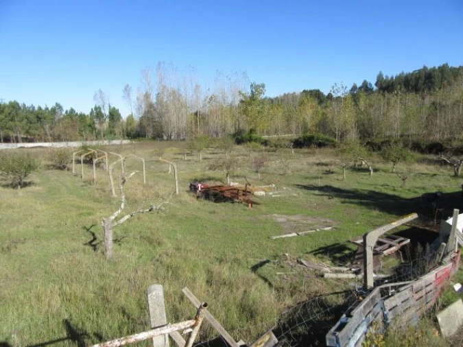 Quinta T5 para Venda em Monte Real e Carvide Foto 24