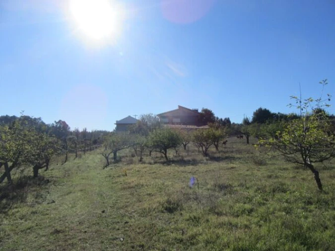 Quinta T5 para Venda em Monte Real e Carvide Foto 25