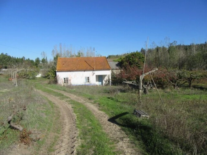 Quinta T5 para Venda em Monte Real e Carvide Foto 30