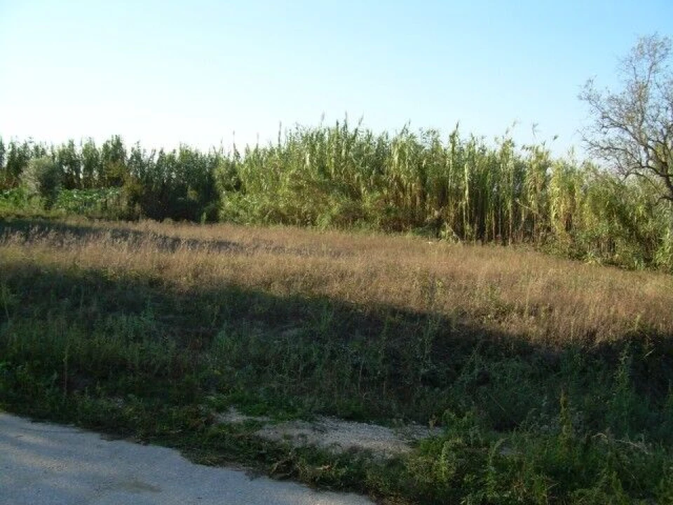 Terreno para Venda em Souto da Carpalhosa e Ortigosa Foto 1