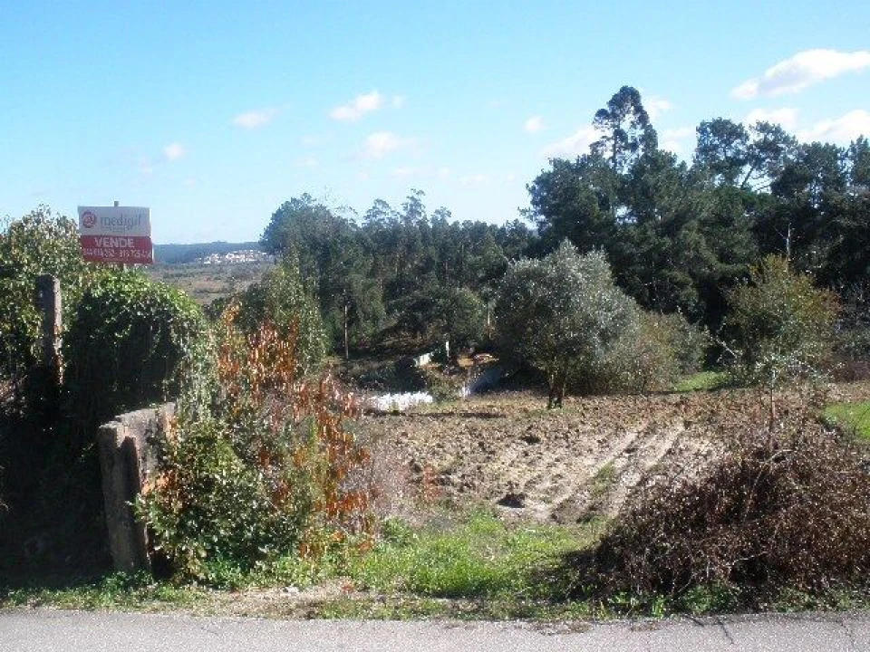 Terreno para Venda em Monte Real e Carvide Foto 1