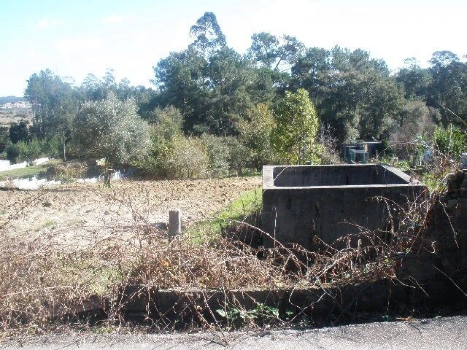 Terreno para Venda em Monte Real e Carvide Foto 2