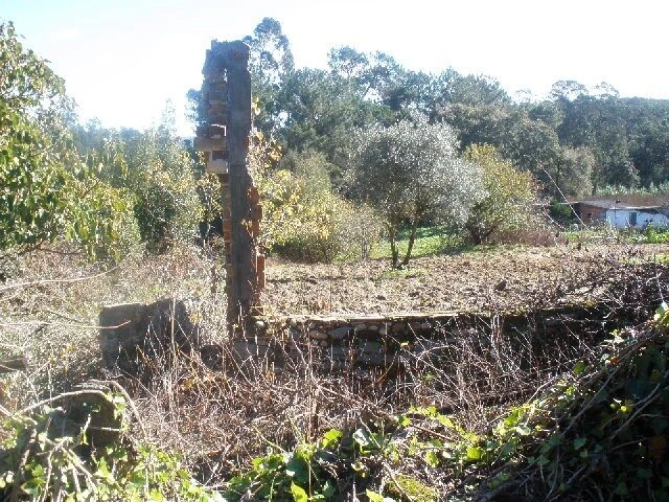 Terreno para Venda em Monte Real e Carvide Foto 3